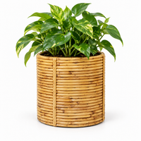 Trellis Bliss 9″ Cane Stick Floor Planter pot