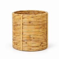 Trellis Bliss 9″ Cane Stick Floor Planter pot