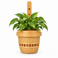 Trellis Bliss Bamboo single Wall Planter