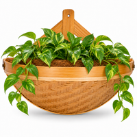Trellis bliss Half-Moon Bamboo Wall Planter