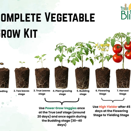 Trellis Bliss Nutrition Kit : Veggie Plants