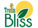 trellisblissindia