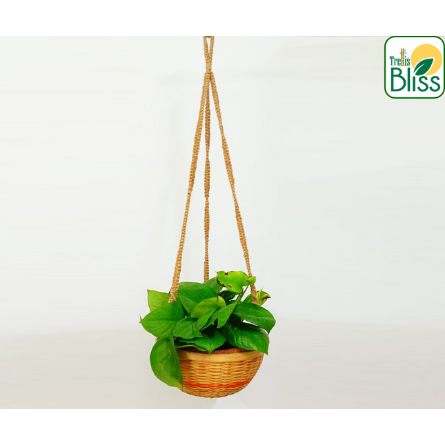 Trellis Bliss 10″ Bamboo Hanging Planter (Jute Rope Hanger)