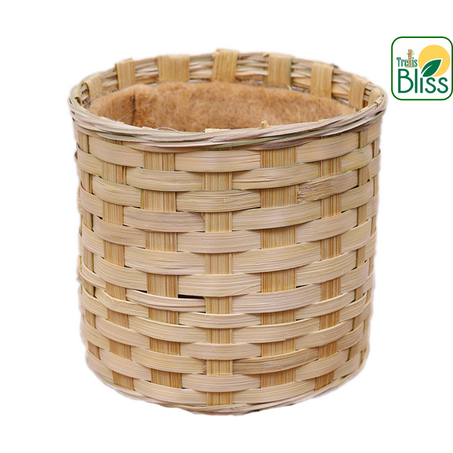 Trellis Bliss trellisblissindia