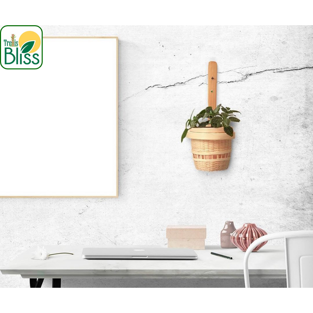 Trellis Bliss Bamboo Wall Planter