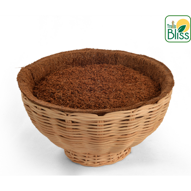 Trellis Bliss 10″ Reed Woven Bowl Tabletop Planter