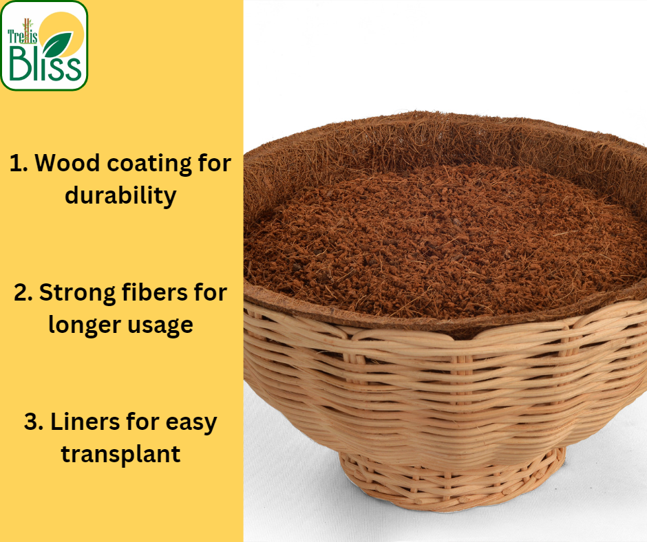 Trellis Bliss 10″ Reed Woven Bowl Tabletop Planter trellisblissindia