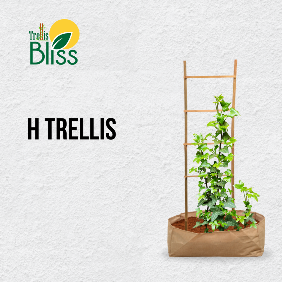 Trellis Bliss Bamboo HTrellis trellisblissindia