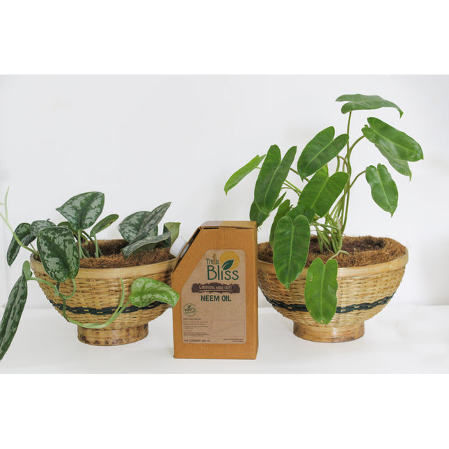 Organic Fertilizer trellisblissindia