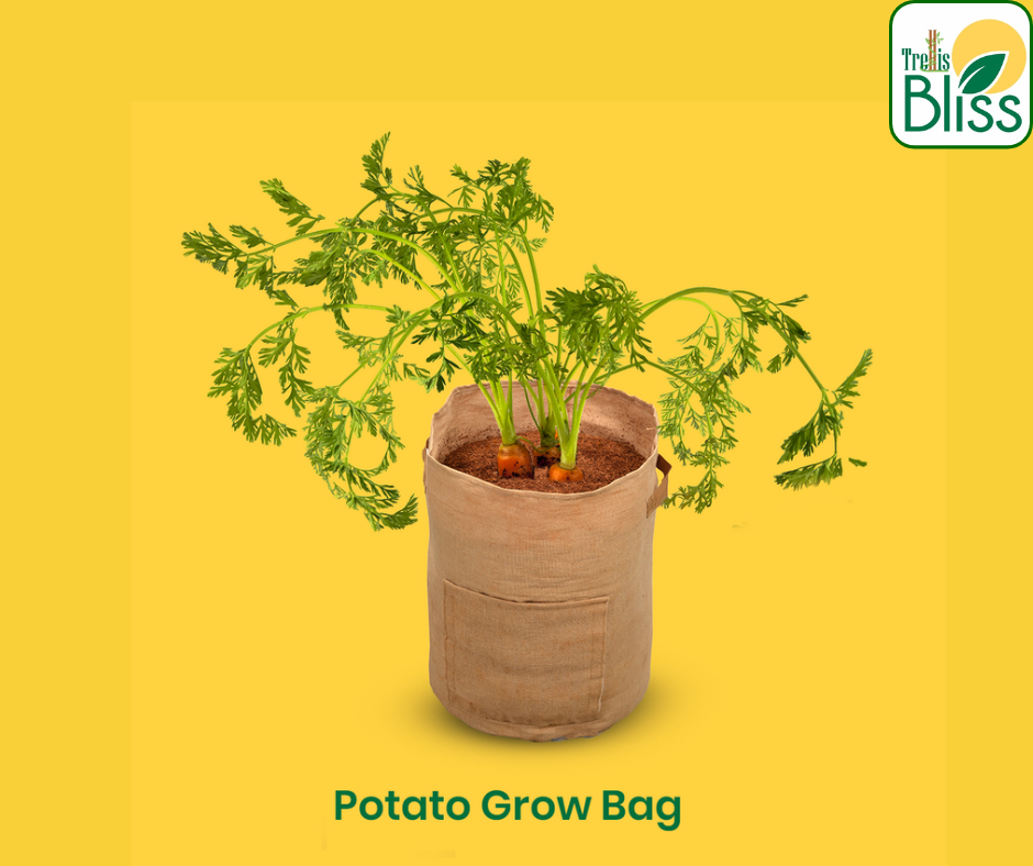 7 Ways to Grow Potatoes at Home  How to Grow Potatoes in a Box Bag or Bed