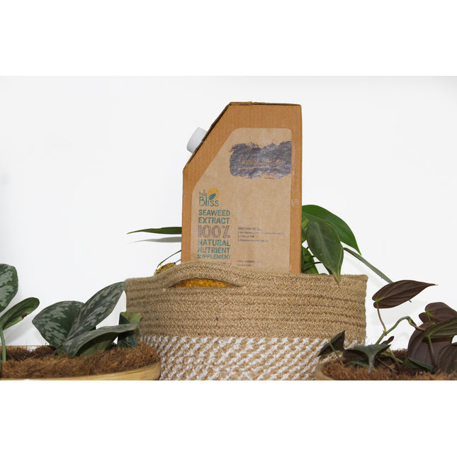 Organic Fertilizer trellisblissindia