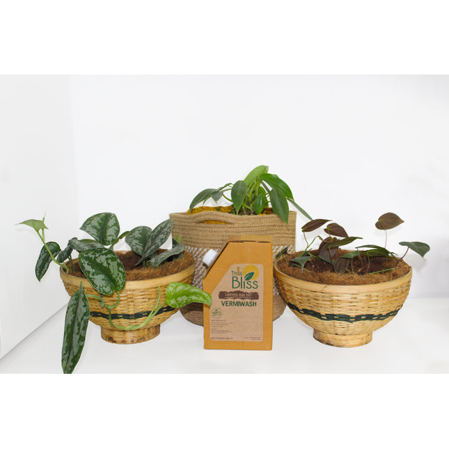 Organic Fertilizer trellisblissindia