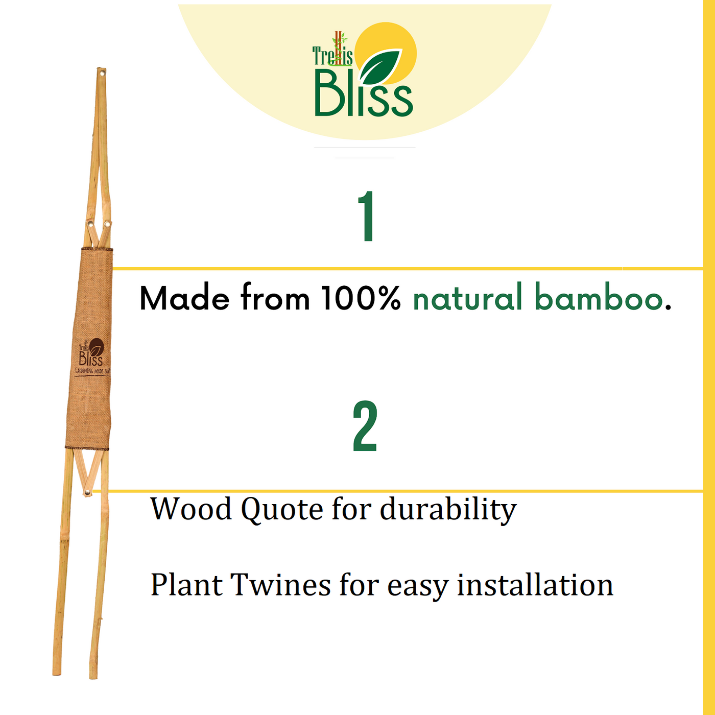 Trellis Bliss Bamboo A Trellis Trellisblissindia