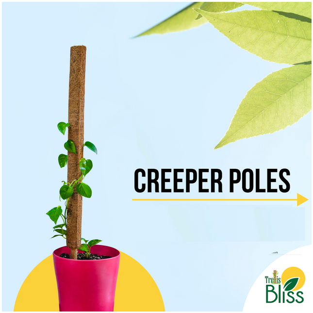 Trellis Bliss 80CM Coir Creeper Pole