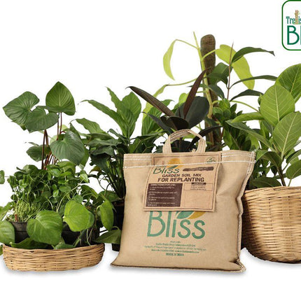 Trellis Bliss Enriched Garden Soil Mix (5L)