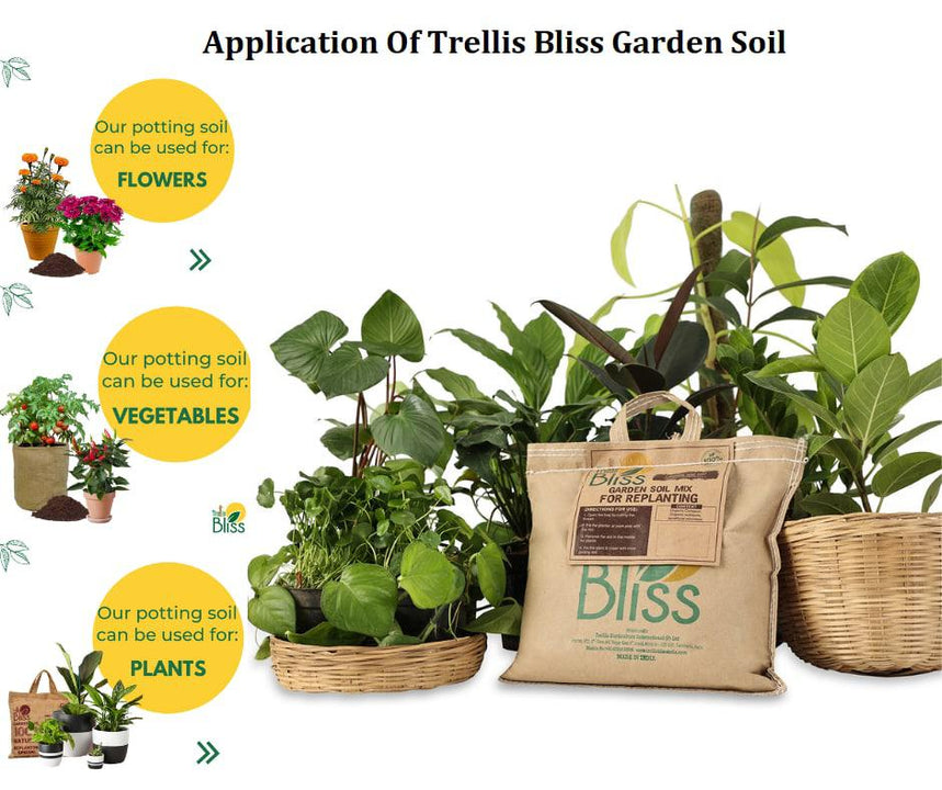 Trellis Bliss Enriched Garden Soil Mix (10L) trellisblissindia