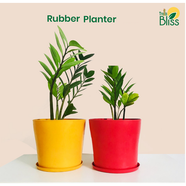 Trellis Bliss 10″ Rubber Floor Planter (with Bottom Tray)