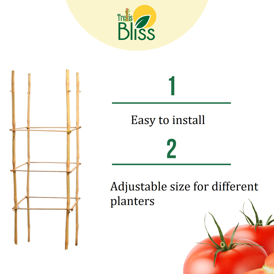 Trellis Bliss Bamboo Tomato Trellis Trellisblissindia