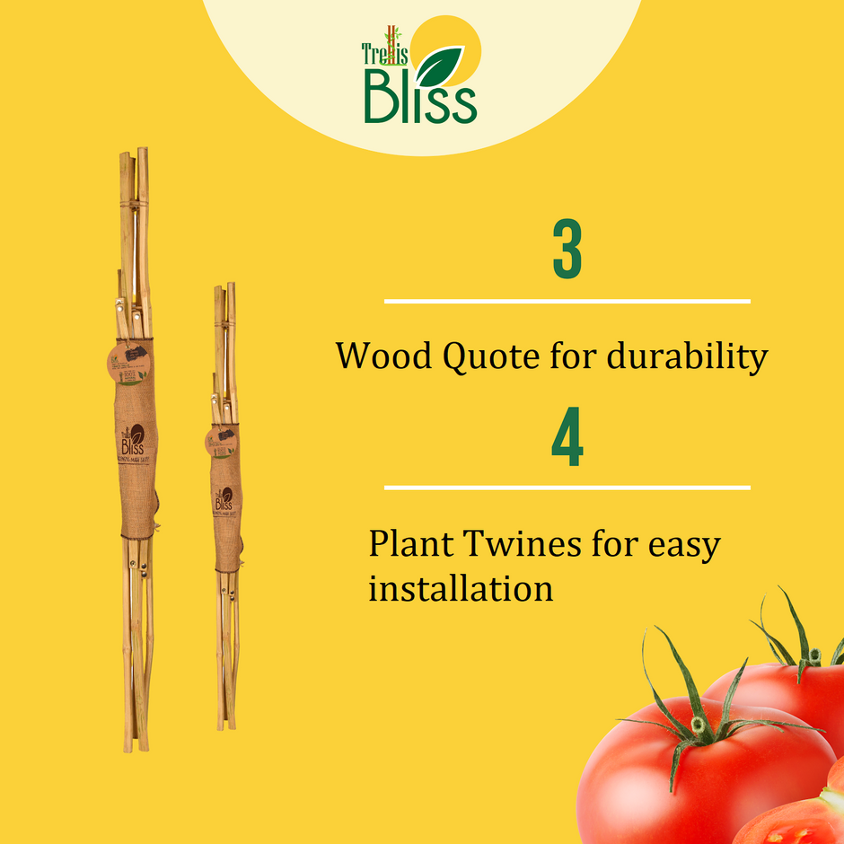 Trellis Bliss Bamboo Tomato Trellis trellisblissindia