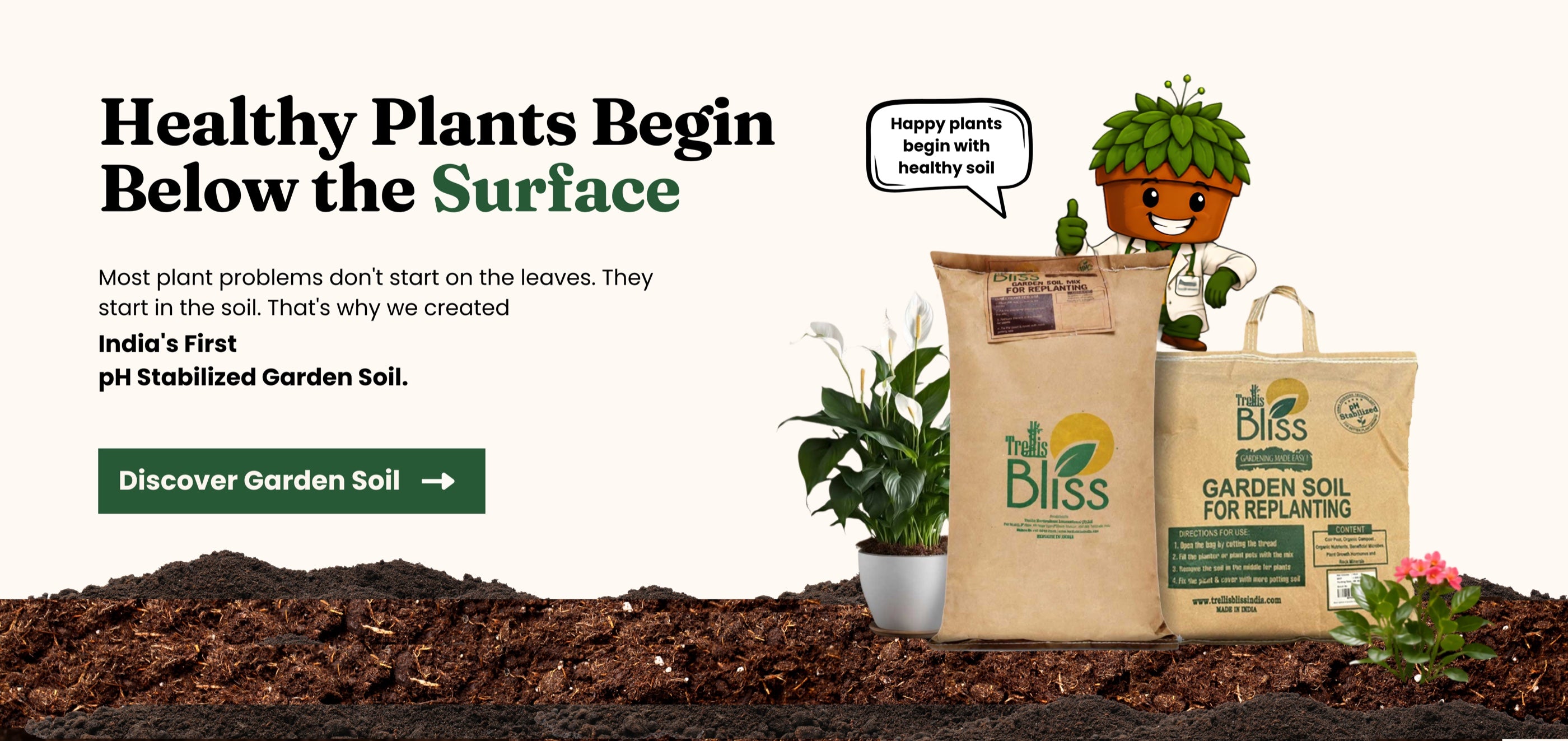 Healthy plants begin below the surface.