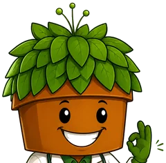 Dr. Rootzi